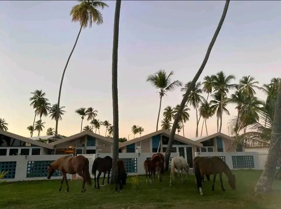 Caribbean Ocean Front Villa. Arroyo